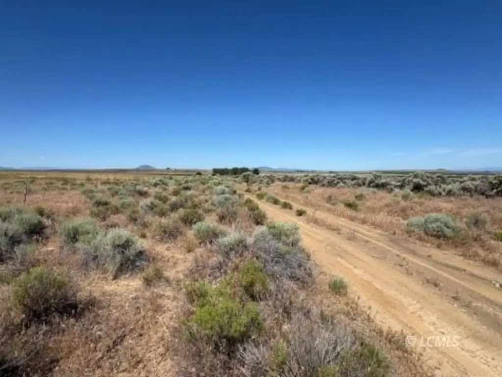 Picture 20