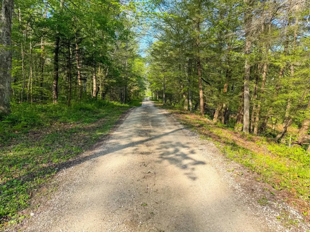 Picture 23