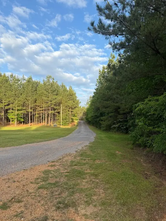 Picture 28