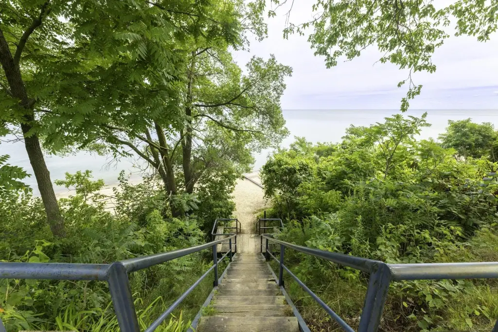 Picture 19