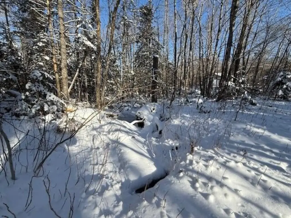 Picture 40