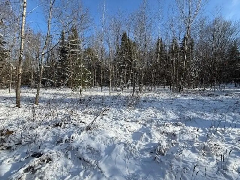 Picture 25