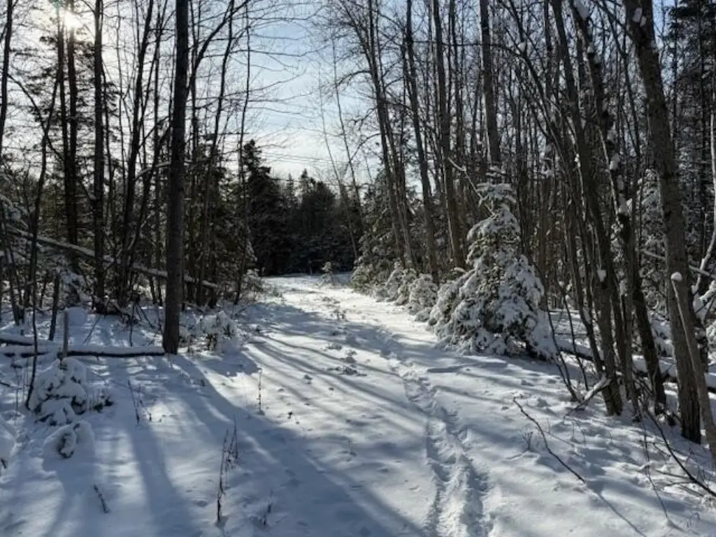 Picture 22