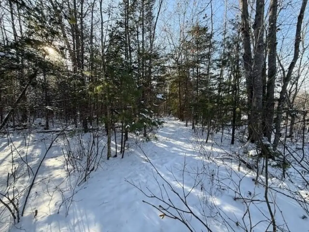 Picture 27