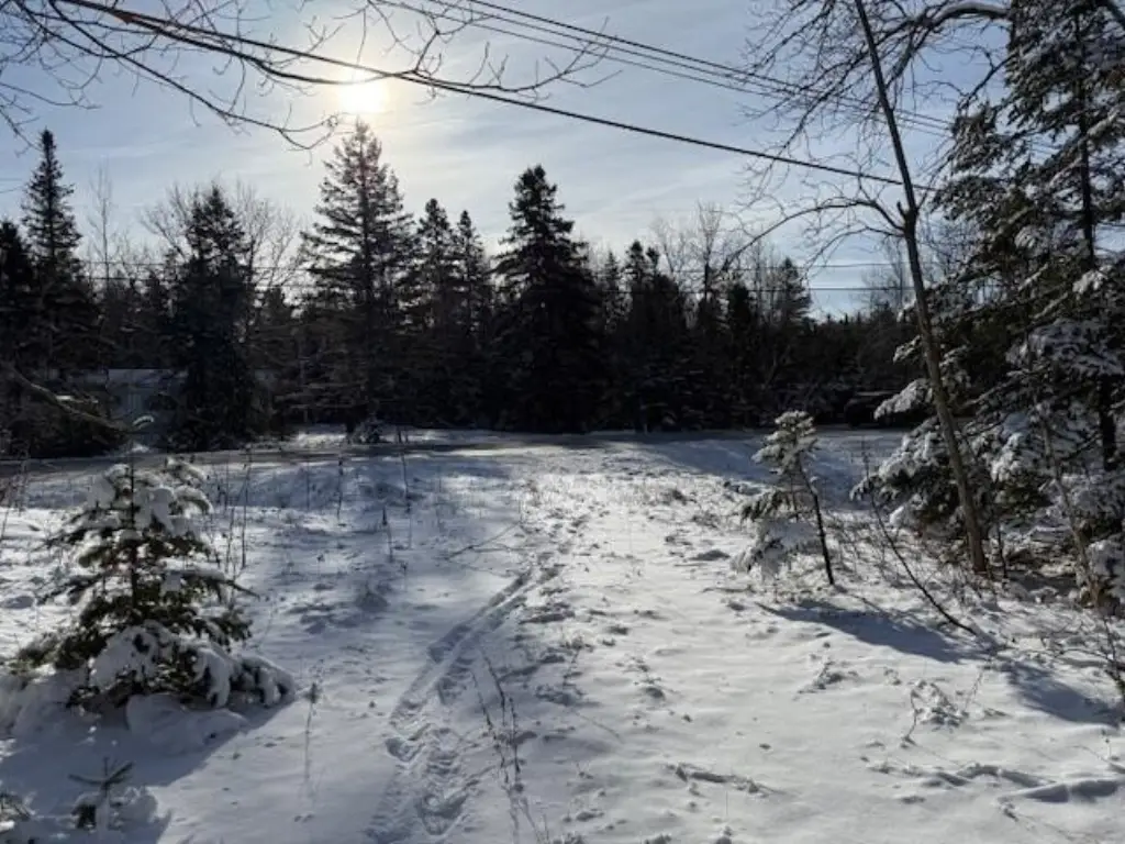 Picture 16