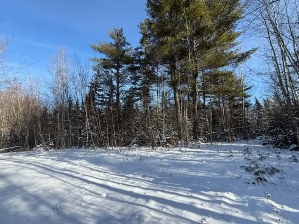 Picture 19
