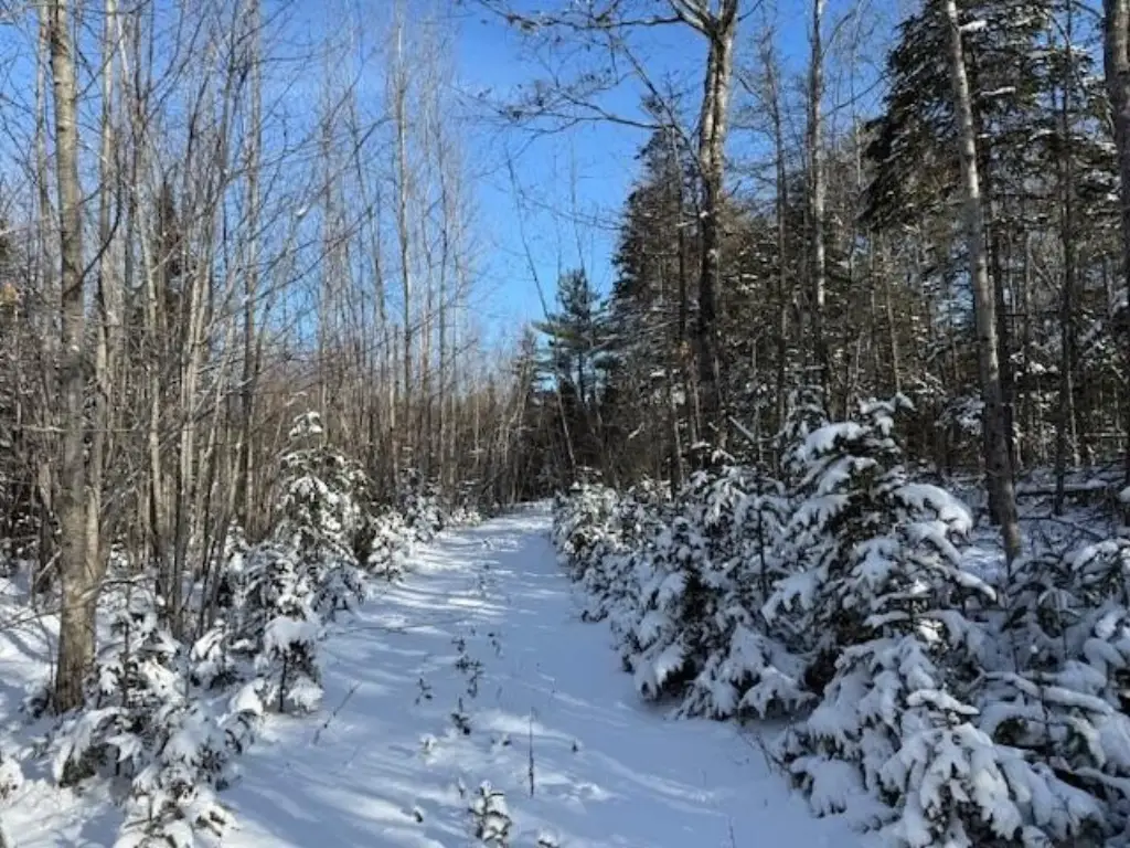 Picture 23