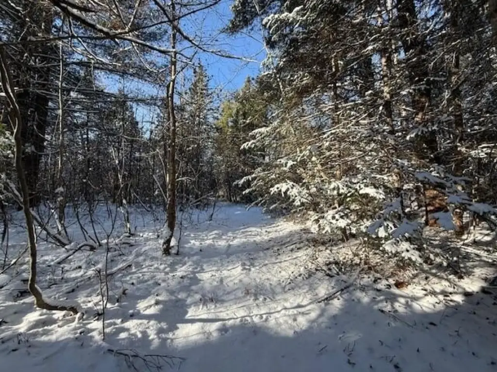 Picture 38