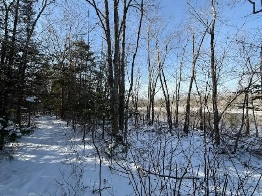 Picture 26