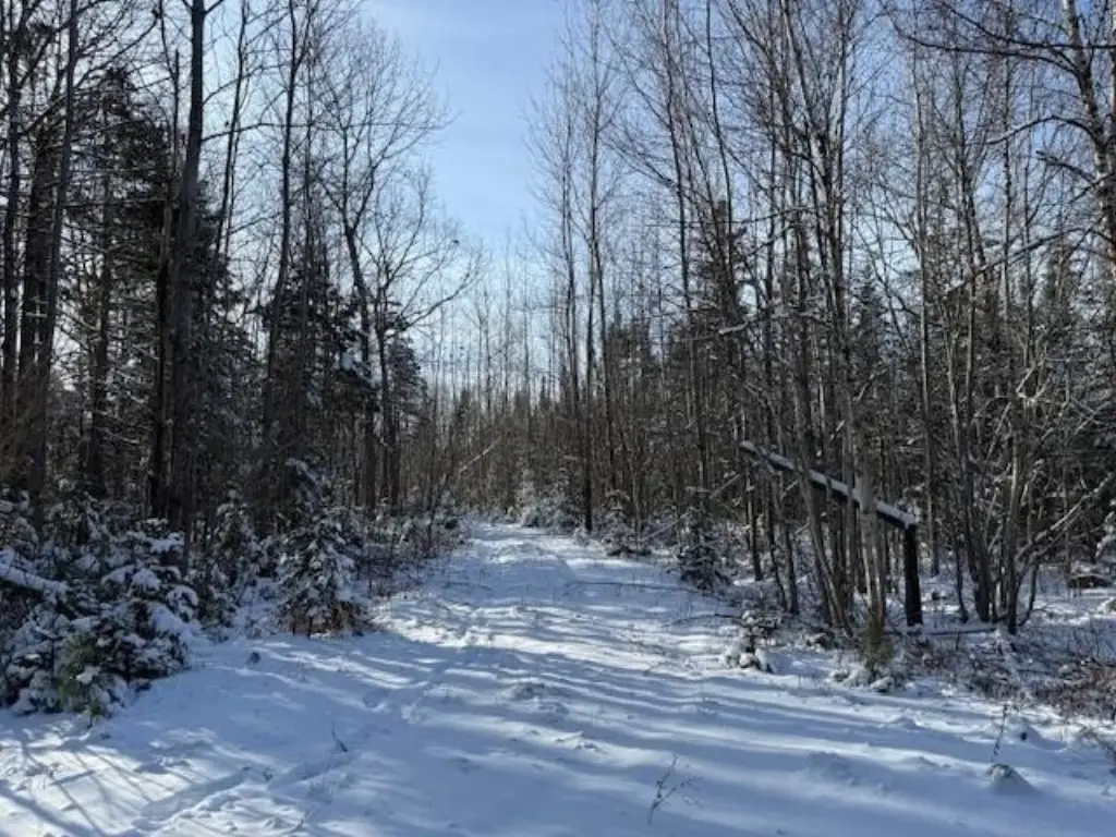 Picture 17