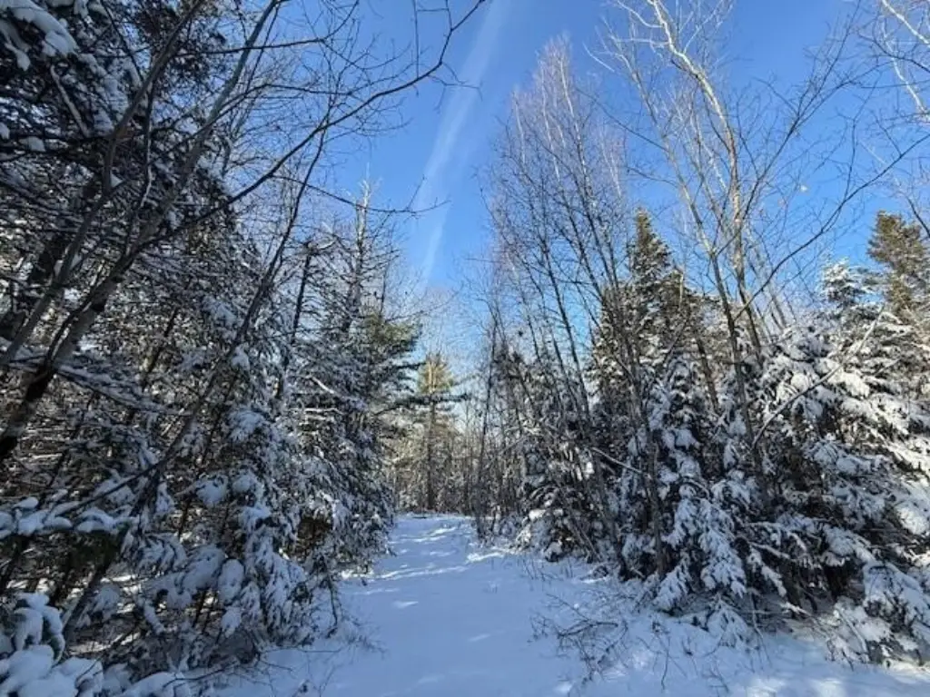 Picture 31