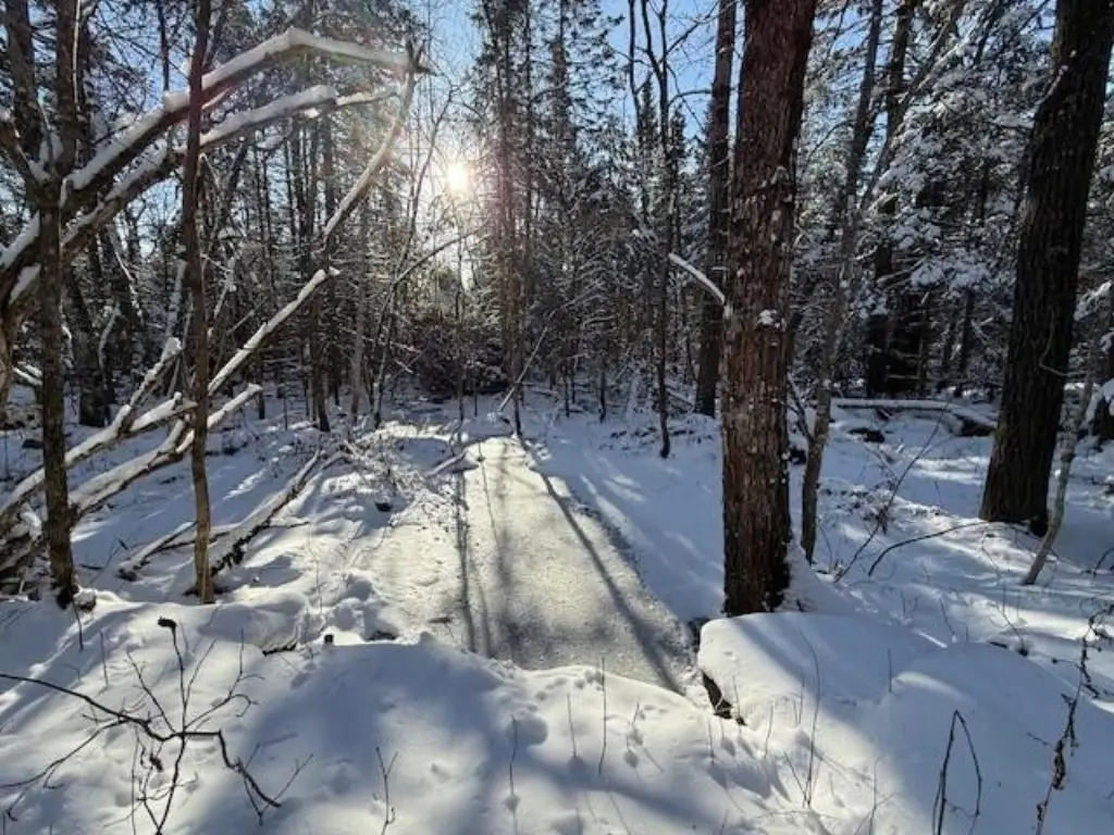 Picture 41