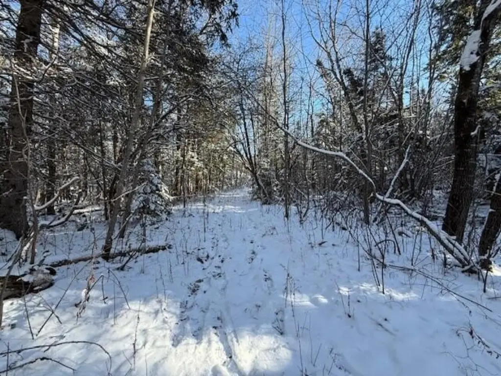 Picture 39
