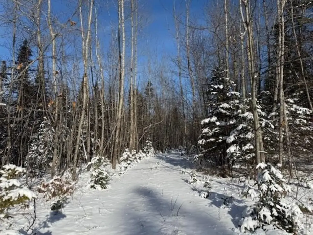 Picture 24
