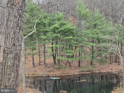 5.23 Acres Wooded Land