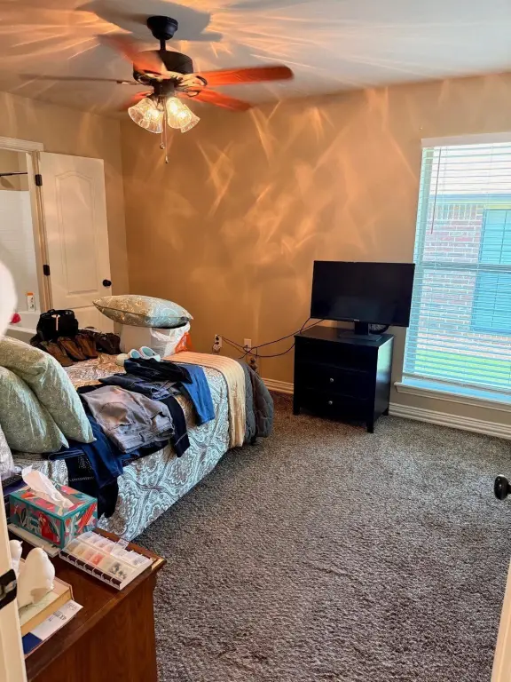 Picture 15