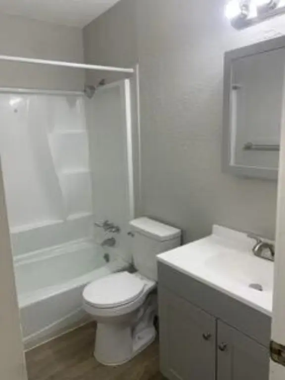 Picture 15