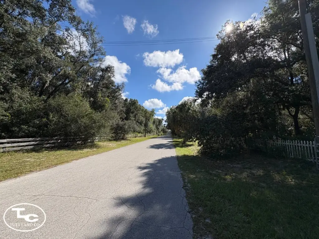 Picture 17
