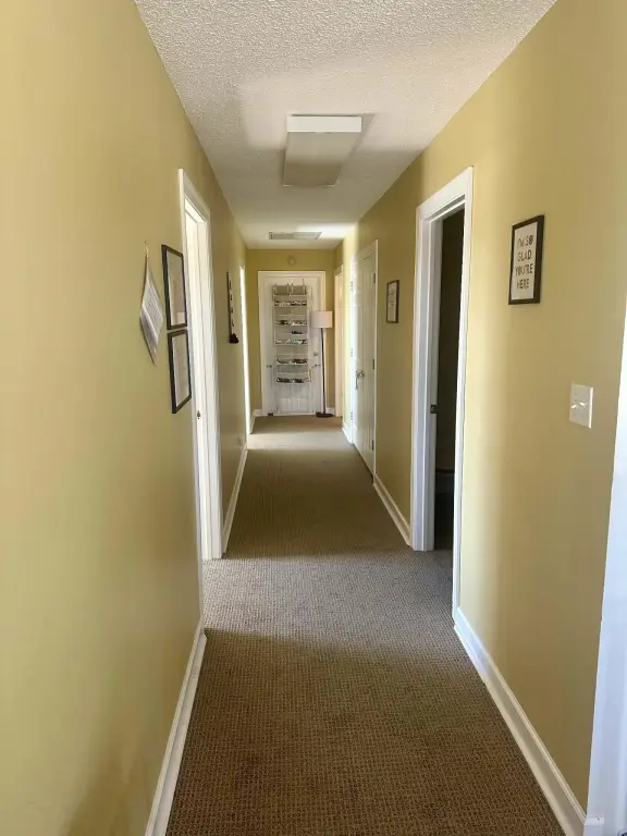 Picture 48