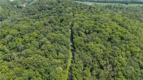 Wooded 15-Acre Hunting Land