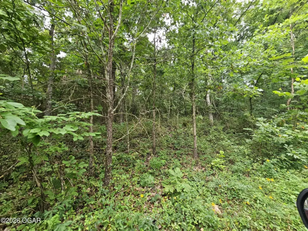 Picture 10