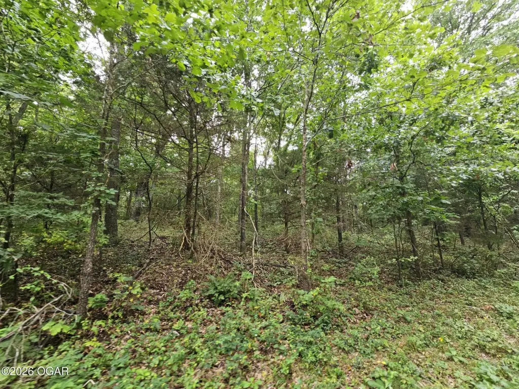 Picture 4