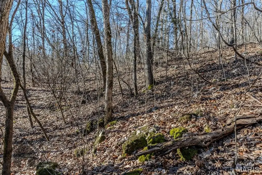 Picture 11