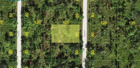 Residential Lot in Punta Gorda