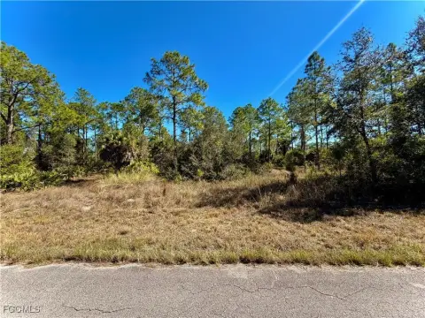 Half Acre Lot in Lehigh