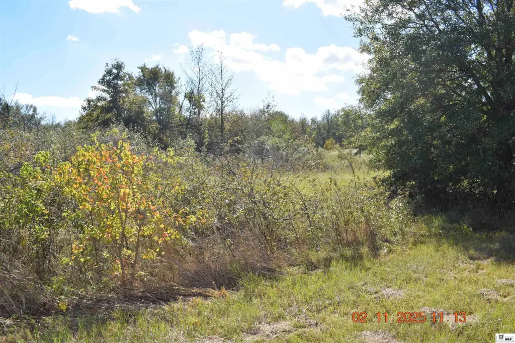 Picture 3
