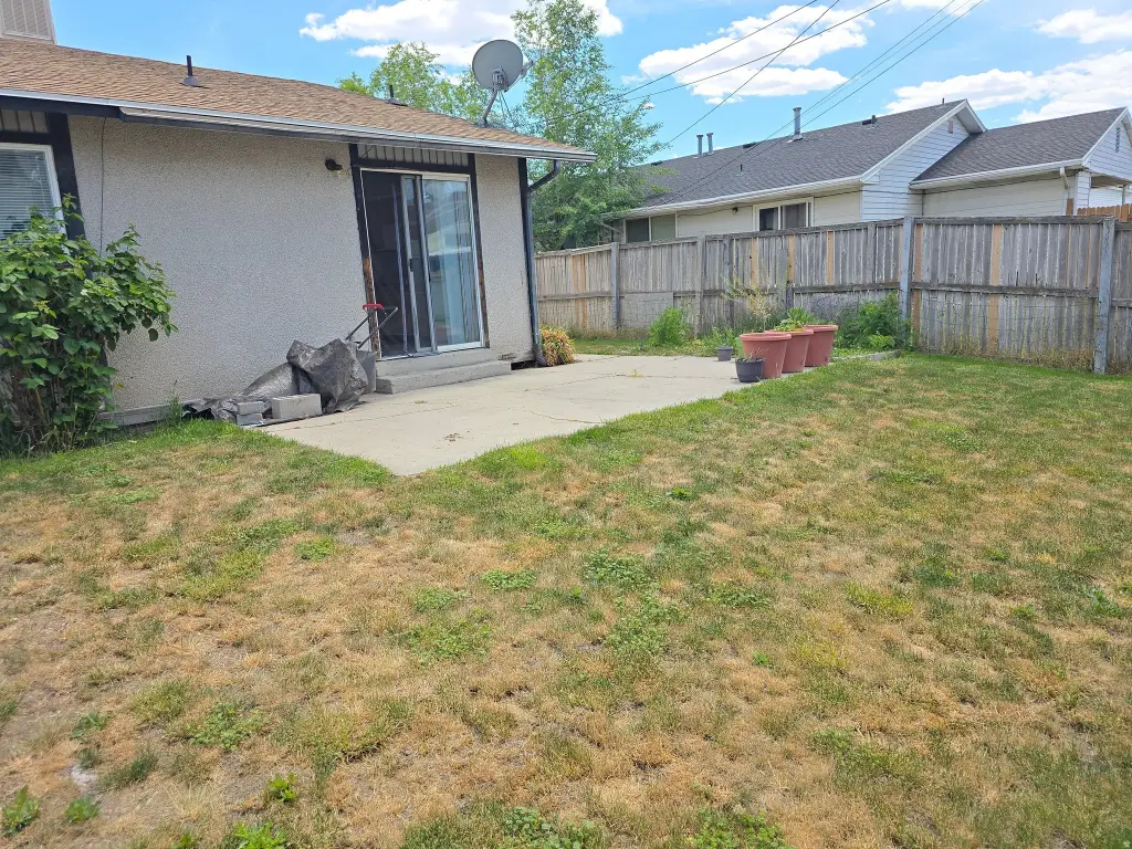 Picture 7