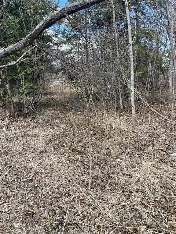 Picture 8