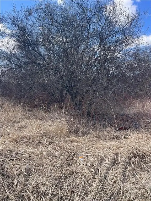 Picture 10