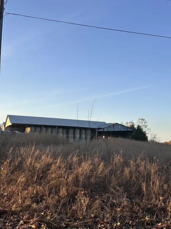 Picture 3