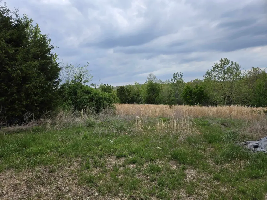 Picture 26