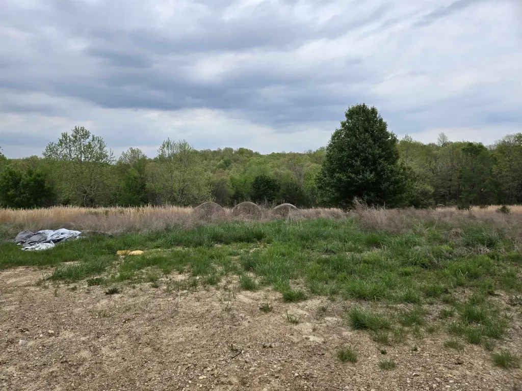 Picture 28