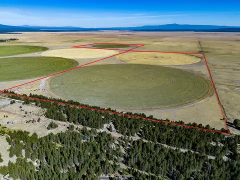 Klamath Marsh Irrigated Hay Property