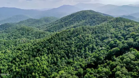 630 Acres in Townsend, TN