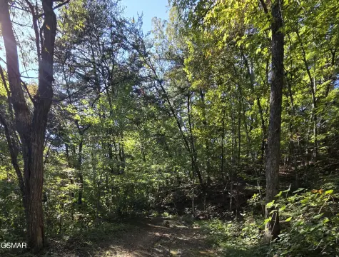 Undeveloped Residential Lot in Sevierville