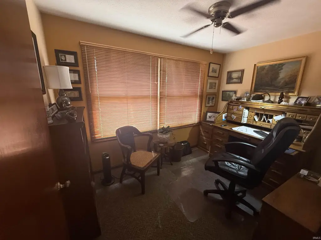 Picture 5
