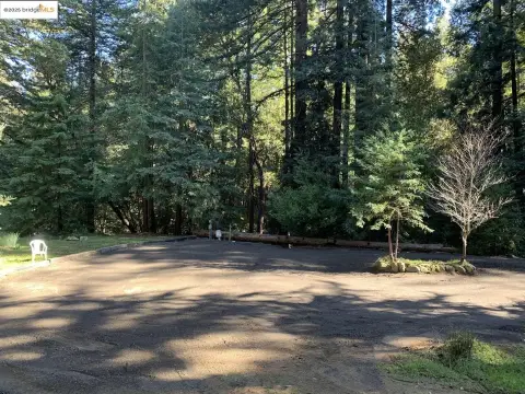 40 Acres Redwood Forest Parcel