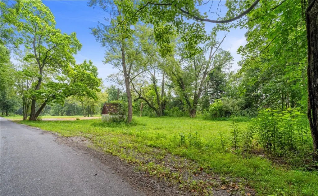 Picture 9