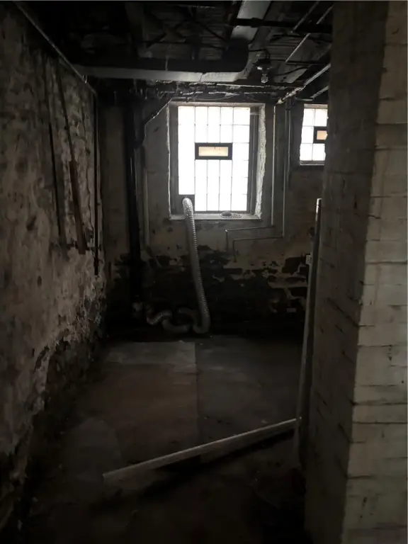 Picture 35