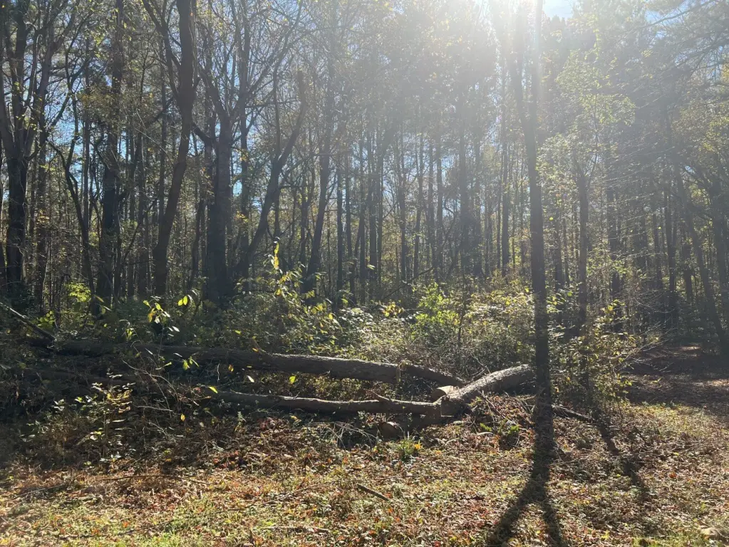 Picture 21