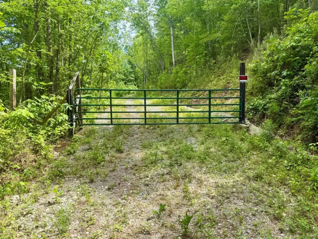 Picture 9