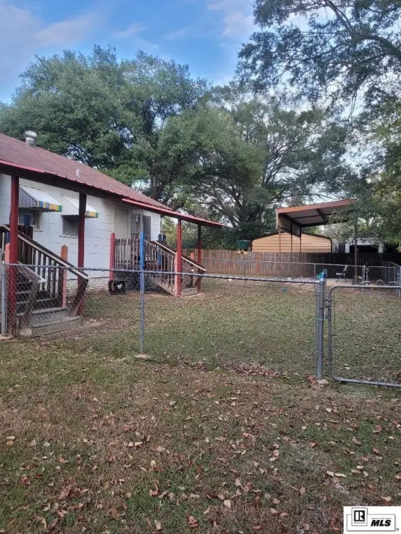 Picture 6