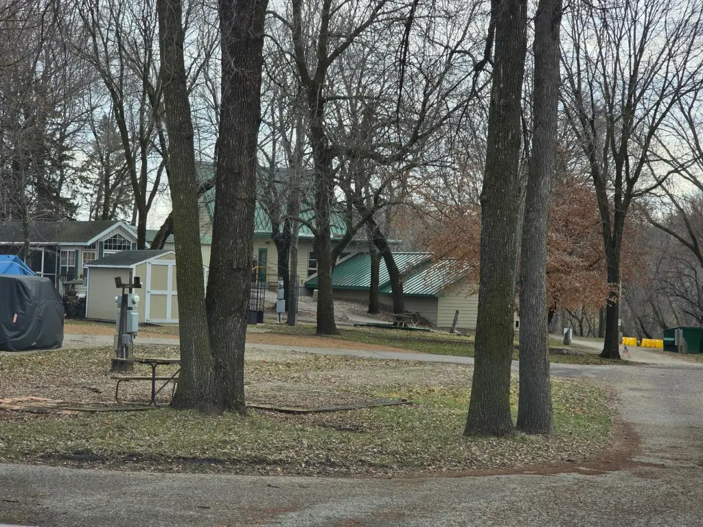 Picture 4