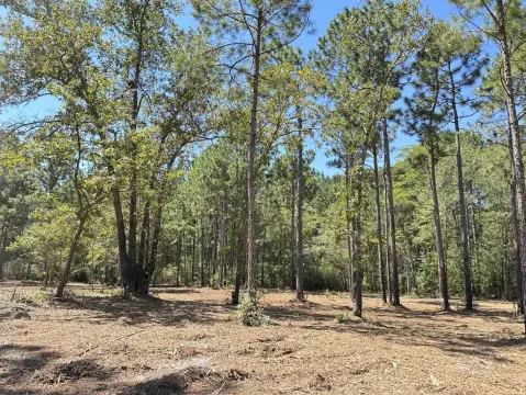 Land Near Lakes and Shopping