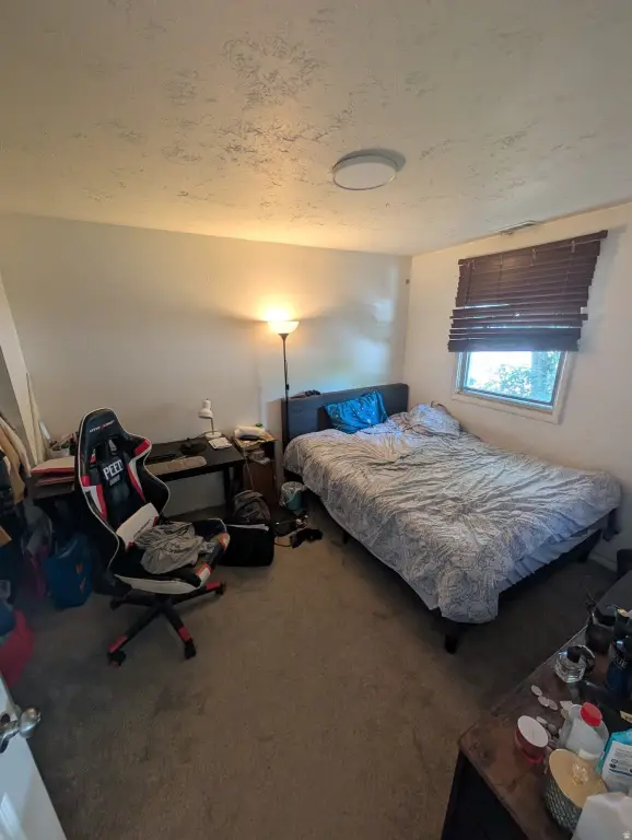 Picture 4
