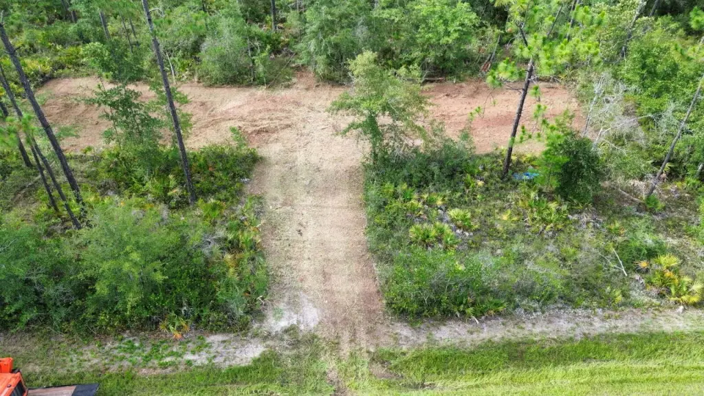 Picture 20